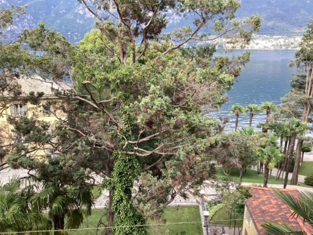 Wonderful Lake Front Appartment Near Bellagio Limonta ภายนอก รูปภาพ